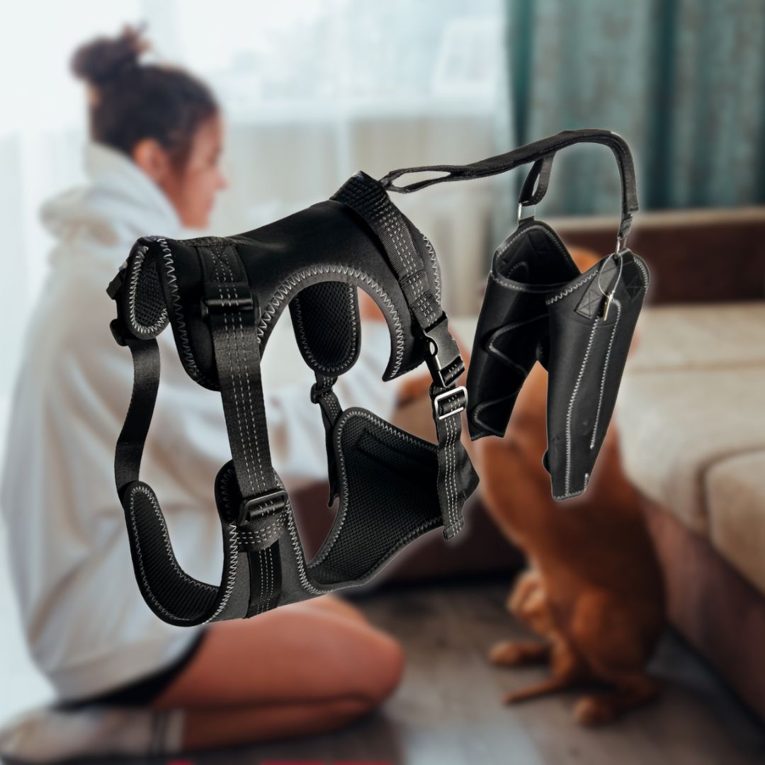 Venator™ Premium Dog Knee Support Brace