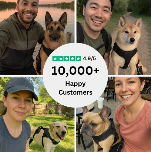 Thousands are switching from desperation to using our dog braces.