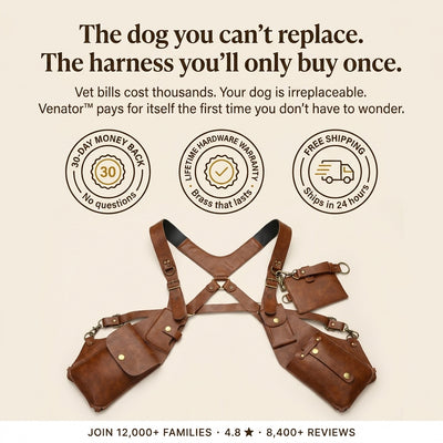 Venator™ Anti-theft Harness