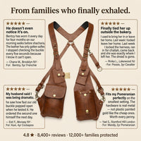 Venator™ Anti-theft Harness