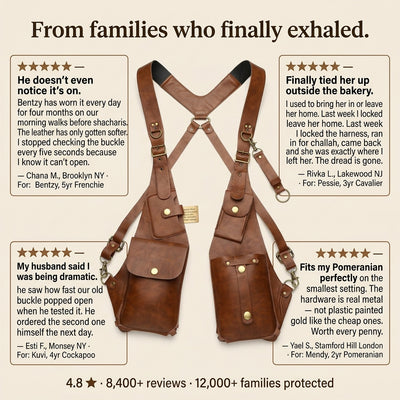 Venator™ Anti-theft Harness