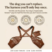 Venator™ Anti-theft Harness