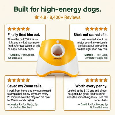 Automatic Dog Ball Launcher