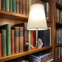 Luxurious Vintage Library Lamp