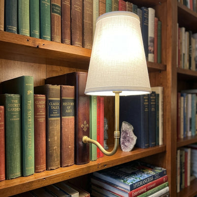 Luxurious Vintage Library Lamp