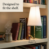 Luxurious Vintage Library Lamp